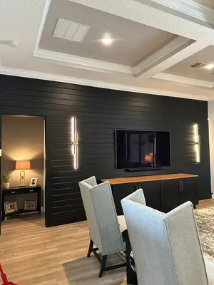 Black shiplap accent wall with TV console